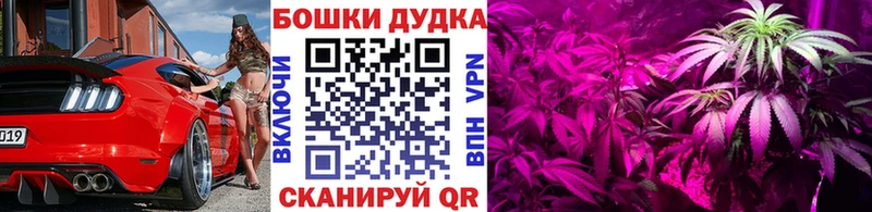 Где найти наркотики Острогожск Каннабис  КОКАИН  ГАШИШ  NBOMe  Меф мяу мяу 