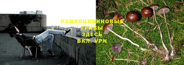 каннабис Армянск