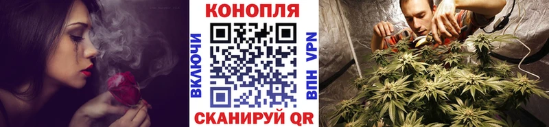 где купить наркоту Острогожск Бошки марихуана Amnesia